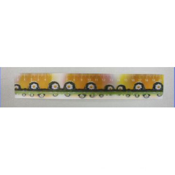 2015 Wholesale 20cm Lenticular Ruler for Kids